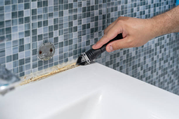 Best Residential Mold Remediation in Green, OH