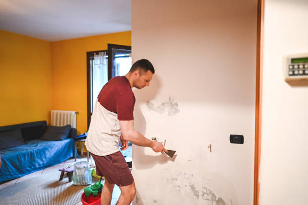 Best Insurance-Related Mold Remediation in Green, OH